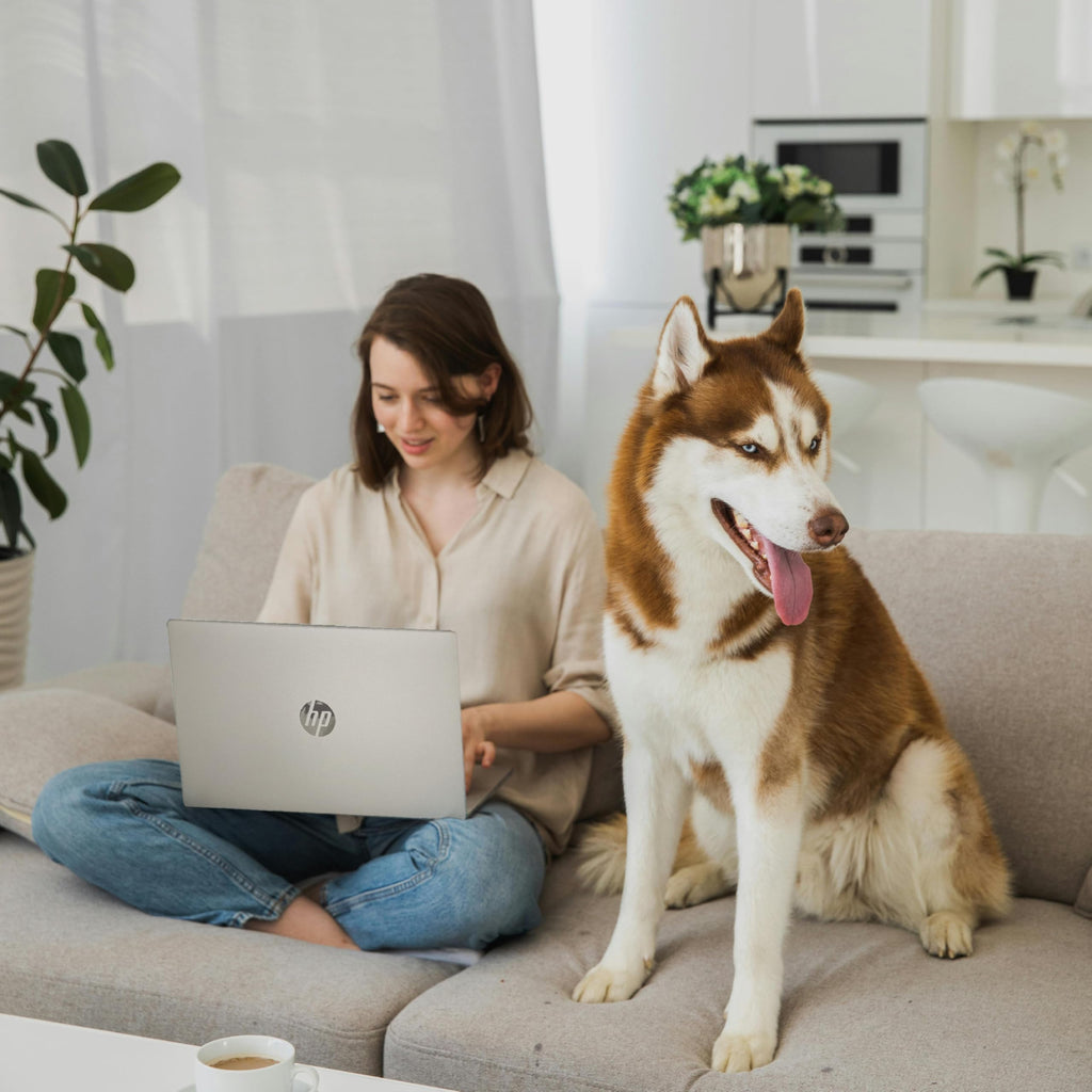 HP 15.6" Touchscreen Laptop, Intel Core i5 Processor, 16GB RAM, 1TB SSD,Numeric Keypad, Bluetooth, Wi-Fi, Long Battery Life, Windows 11 Home, Alpacatec Accessories, Silver